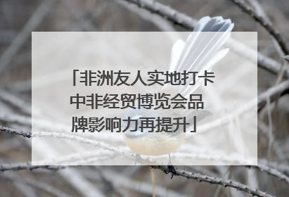 非洲友人实地打卡 中非经贸博览会品牌影响力再提升